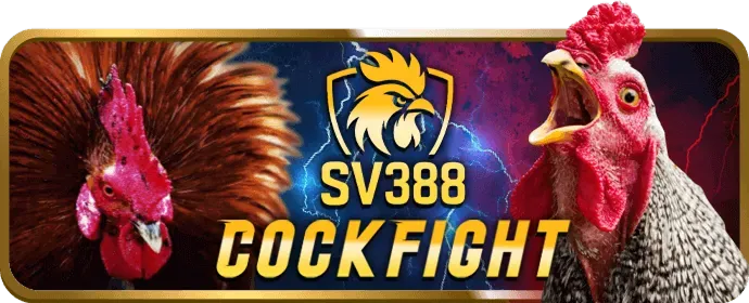 Cá cược Thể thao 888d